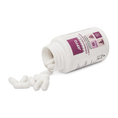 Климатон форте с дудником китайским, капсулы, 60 шт