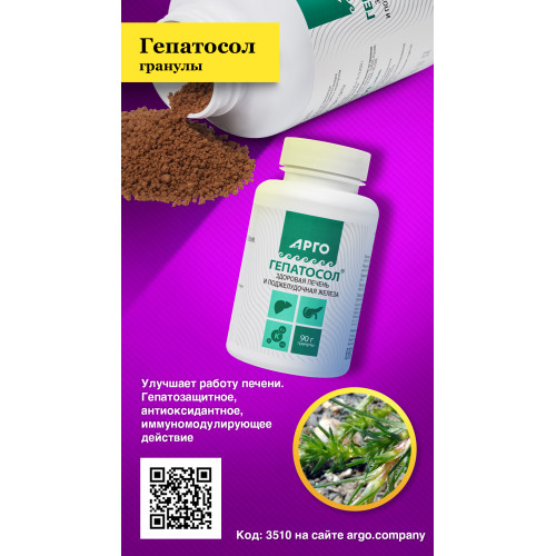 Гепатосол, гранулы, 90 г