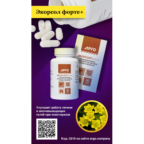 Экорсол-форте+, капсулы, 90 шт
