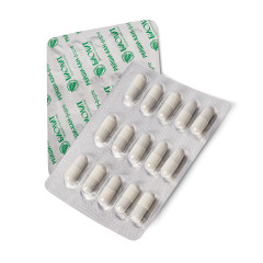 Рейши-Кан-форте, капсулы, 30 шт