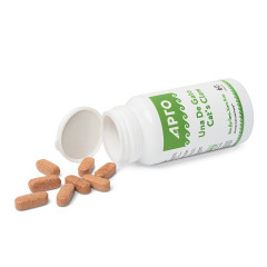 Уна дэ Гато, таблетки, 60 шт