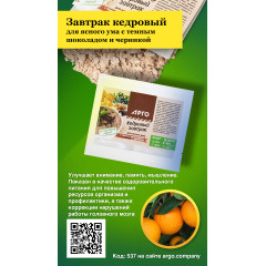 Завтрак кедровый для ясного ума с темным шоколадом и черникой, 40 г
