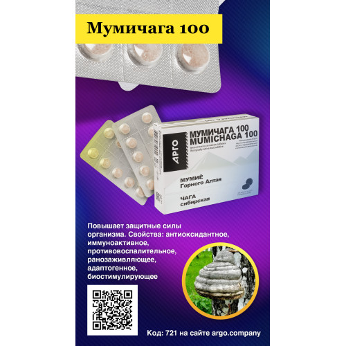 Мумичага 100, таблетки, 100 шт