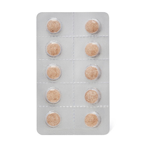 Конфеты таблетированные с растительными экстрактами «ХудияГоджи», 100 шт