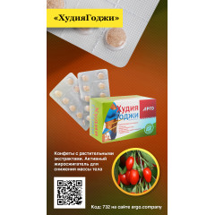 Конфеты таблетированные с растительными экстрактами «ХудияГоджи», 100 шт