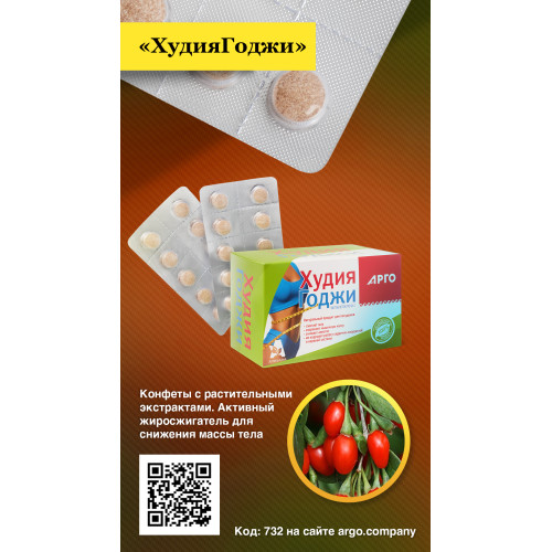 Конфеты таблетированные с растительными экстрактами «ХудияГоджи», 100 шт